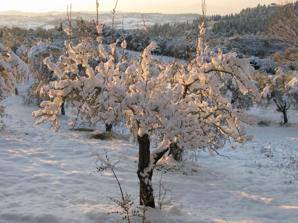 Agriturismo Martignana Alta Empoli Eksteriør bilde